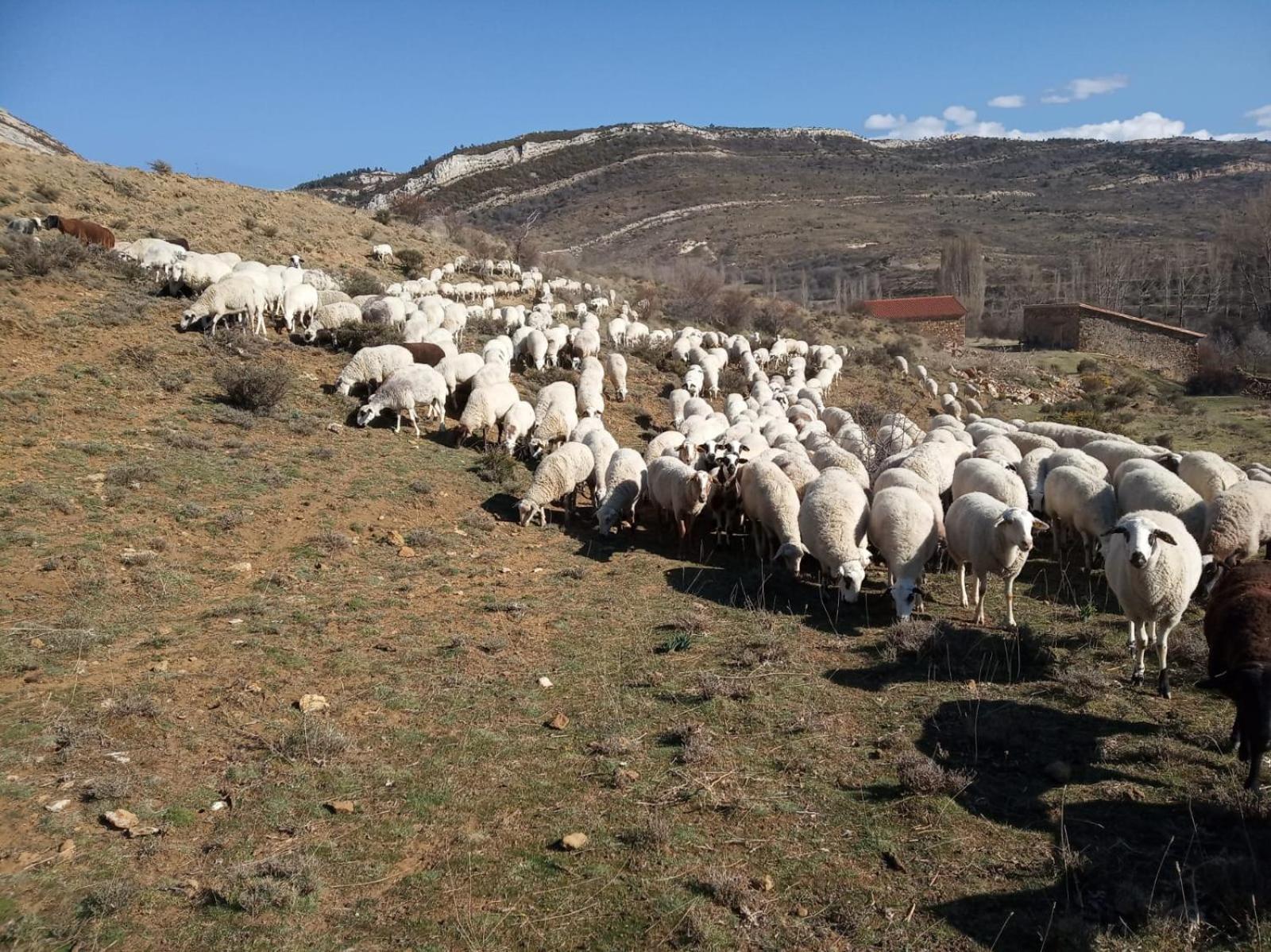 Casa Rural Chulilla Villarroya de los Pinares Eksteriør billede