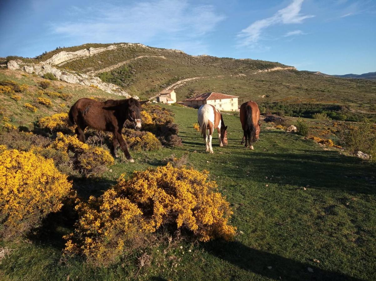 Casa Rural Chulilla Villarroya de los Pinares Eksteriør billede