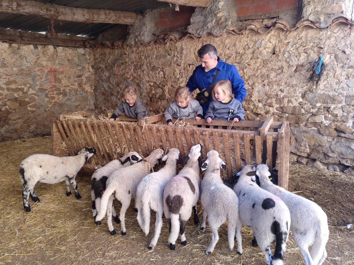 Casa Rural Chulilla Villarroya de los Pinares Eksteriør billede